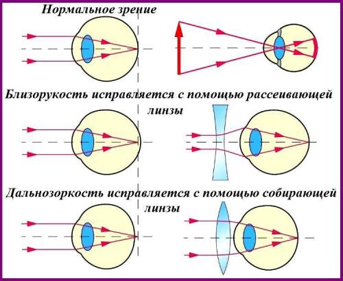 Доклад на тему оптические приборы по физике 8 класс