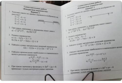 Регите задания на фото хатябы первые 2, только 2 вариант ​