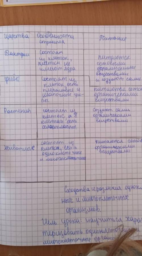 Людину інколи називають прикладом неотенії.Доведіть чи спростуйте це твердження​