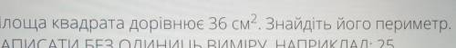 Площа 36мс². Знайти периметр​