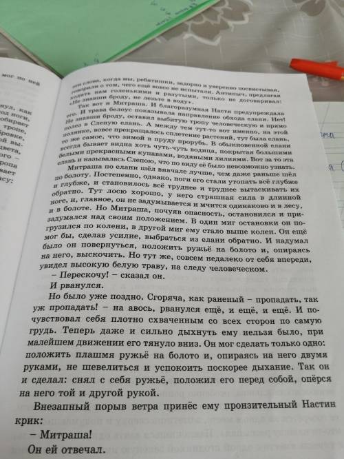 сделать план на этот текст