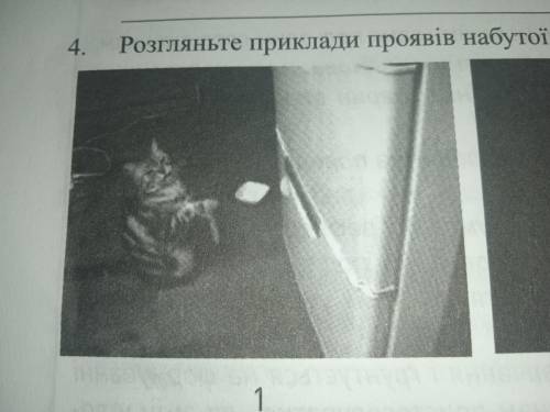До іть будь ласка біологія. Які дії тварин ви ігаєте на малюнках