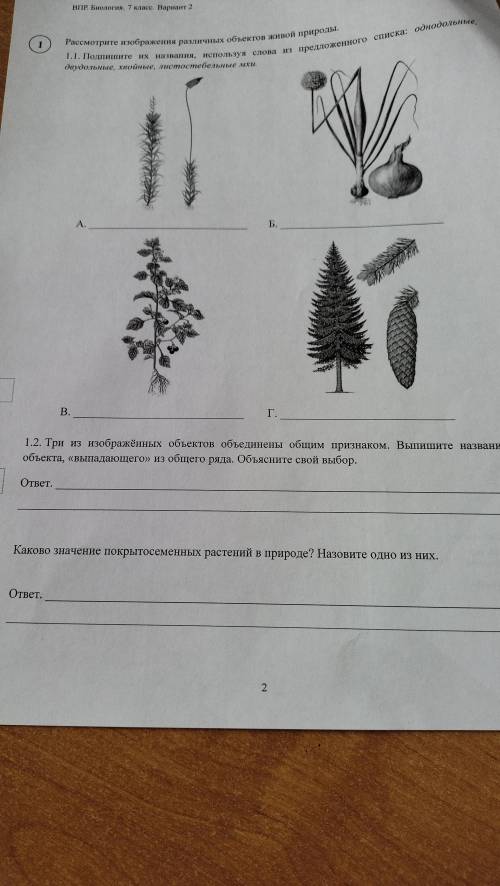 Нужны ответы на все эти вопросы.