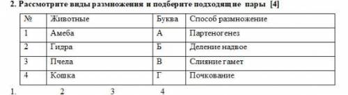 Рассмотрите виды размножения и подберите подходящие пары 1 Амеба А Партеногенез 2 Гидра Б Деление на