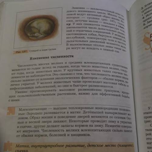 Пп.52,прочитать, найти и записать три примера заоботы о потомстве у конкретных видов млекопитающих