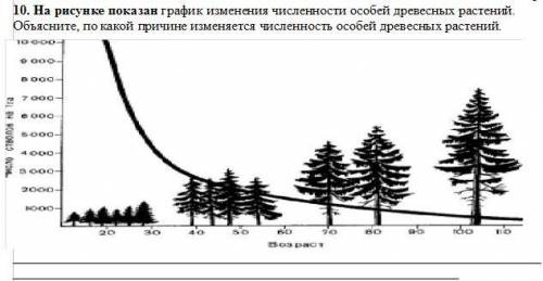 10. На рисунке показан график изменения численности особей древесных растений. Объясните, по какой п