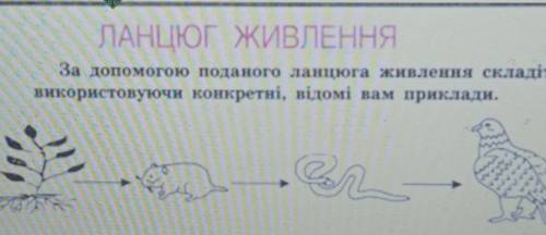 До іть зробити ланцюг живлення.За до поданого ланцюга живлення складіть свій, використовуючи конкрет