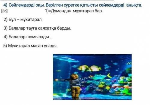Сойлемдерды окы, Берелген суретке катысты сойлемдерды аныкта​