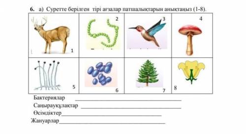 Даб все Задания ПО Жаратылыстану​