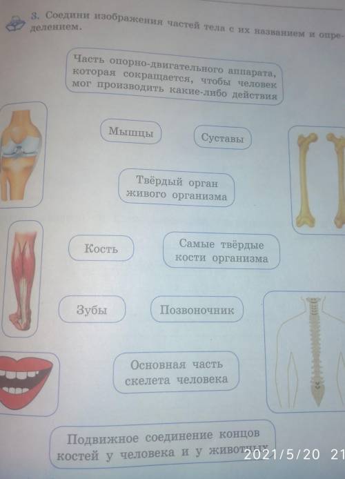 по родина видению делай лучше ответ​