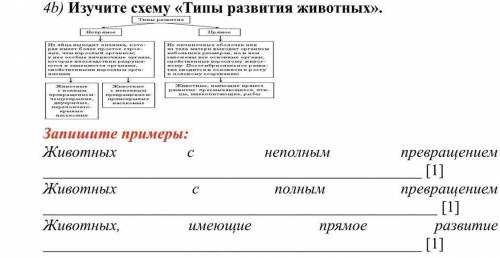 Изучите схему «Типы развития животных». Запишите примеры: Животных с неполным превращением [1] Живо