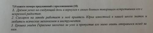 Укажите номера предложений с приложениями​