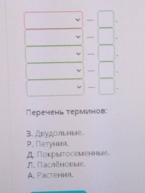 укажи буквы рядом с каждой систематической единицей групповой соответствующий терминам ​