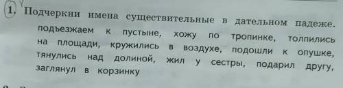 Подчеркни имена существительные в дательном падеже ​