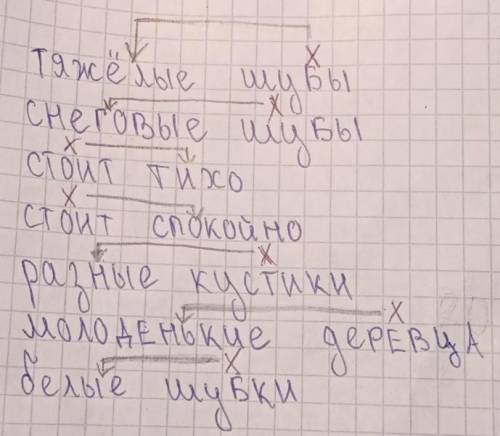 Выписать все словосочетания, указать главное и зависимое слово. Заглянула зима в лес. Обрядила она с