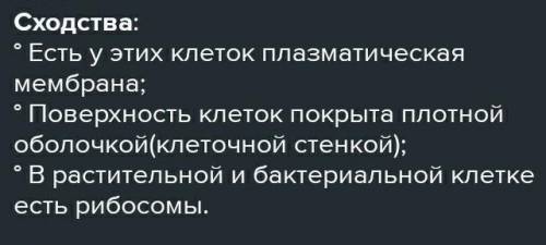 Что общего в строении растительной и бактериальннй клеток ?​