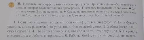 19. Назовите виды орфограмм на месте пропусков. При списывании обозначьте части слов, в которых были