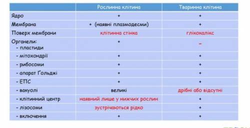 Таблица рослинна клитина та тварина клитина, биология 6 класс відповідь на таблицю будь ласка.