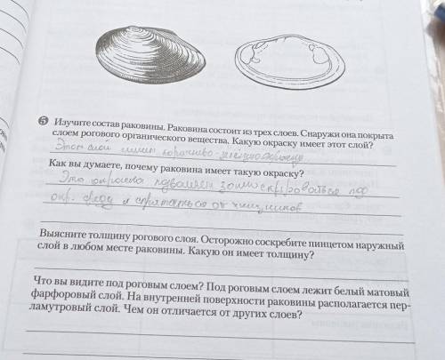 Выясните толщину рогового слоя. Осторожно соскребите пинцетом наружный слой в любом месте раковины.