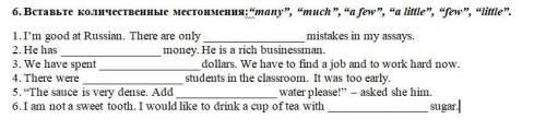 Вставьте количественные местоимения:“many”, “much”, “a few”, “a little”, “few”, “little”.