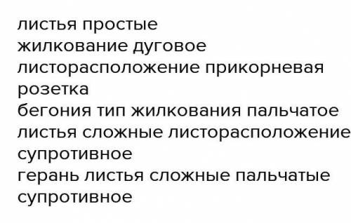 Листья у Васелька простые или сложные? Жилкование у листьев васелька? Листорасположение?