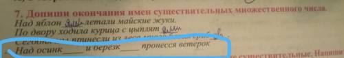 7. Дониши окончания имен существительных множественного числа