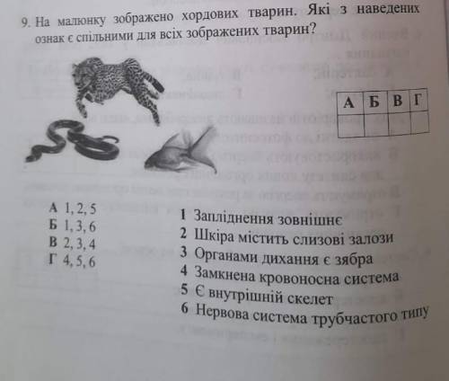На малюнку зображено хордових тварин. Які з наведених ознак є спільними для всіх