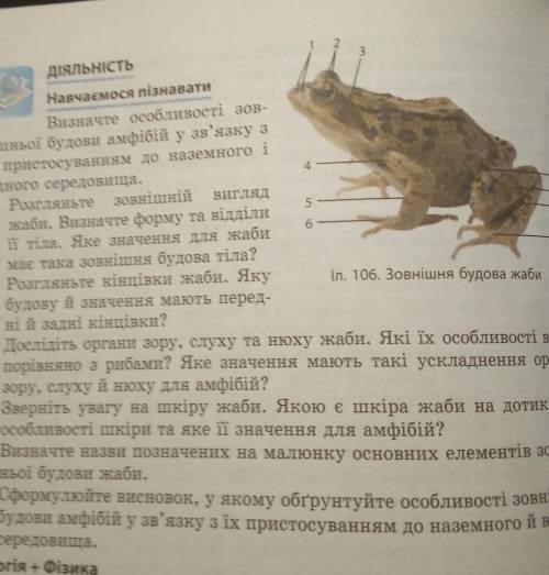 Описати амфібію будь ласка