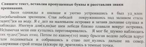 Спишите текст вставляя пропущенные буквы и растравляя знаки препинания