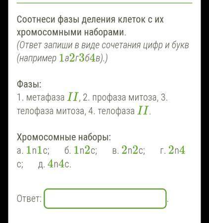 Соотнеси фазы деления клеток с их хромосомными наборами. (ответ запиши в виде сочетания цифр и букв