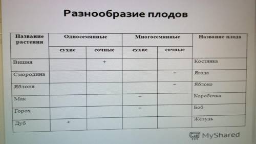 Заполните таблицу разнообразие плодов