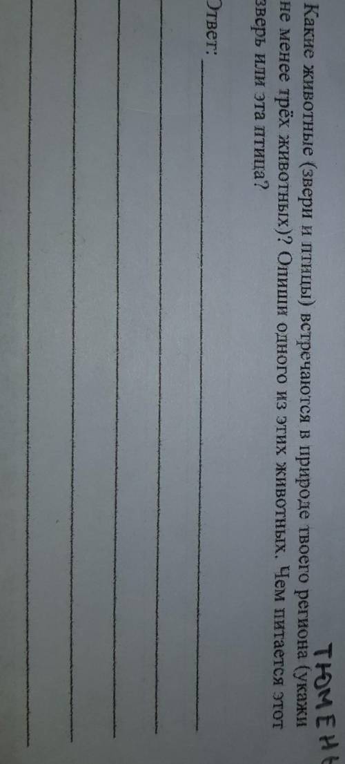 ТЮМЕНЬ Какие животные (звери и птицы) встречаются в природе твоего региона (укажи не менее трёх живо