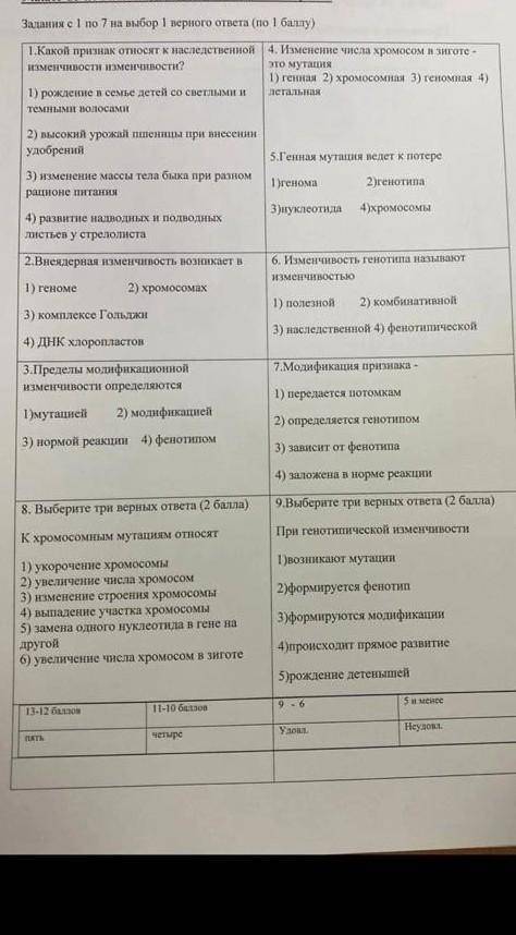 ээ я не знаю как здесь все работает и что мне писать надо но мне нужна пять это так работает вродн