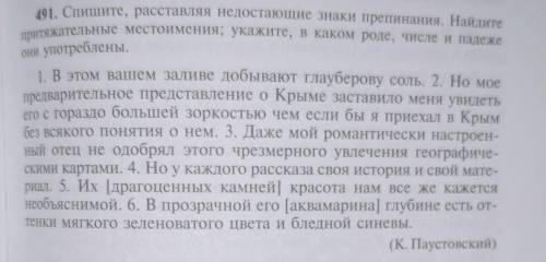Ребята с русским языком в тетради