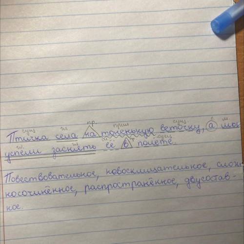 Птичка села на тоненькую веточку а мы успели заснять её в полёте. разбор предложения