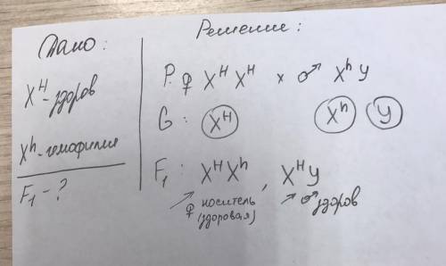 У людини гемофілія зумовлена рецесивною алеллю, локалізованою в Х-хромосомі. Яка ймовірність народже