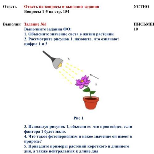 Задание №1 Выполните задания ФО: 1. Объясните значение света в жизни растений 2. Рассмотрите рисунок