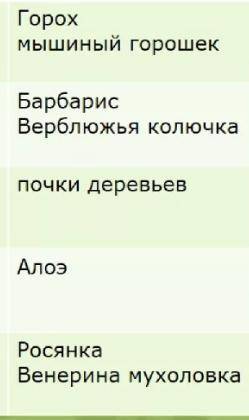 Видоизменение листьев (примеры) и почему они изменились.(даю 27б)
