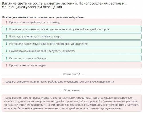 Из предложенных этапов составь план практической работы. 1 Растение В закрепить на клиноcтате, чтобы