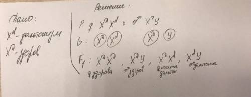 Задача №1. У человека рецессивный ген, вызывающий одну из форм цветовой слепоты – дальтонизм, локали