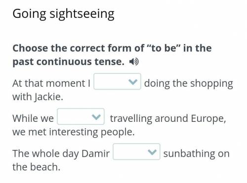 НУЖНО ПОТОМ УЖЕ НЕ НАДО ДАЮ 20Choose the correct form of to be in the past continuous tense