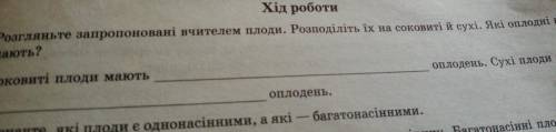 1. Розгляньте запропоновані вчителем плоди. Розподіліть їх на соковиті й сухі. Які оплодні вони мают