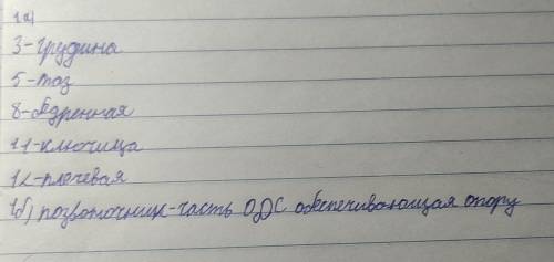 Время выполнения 20 минут 2. ЗАДАНИЯ. 1. а) Определите, что на рисунке обозначено цифрами? 3 581112