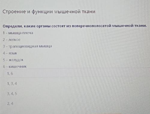 Онлайн мектепСтроение и функции мышечной ткани