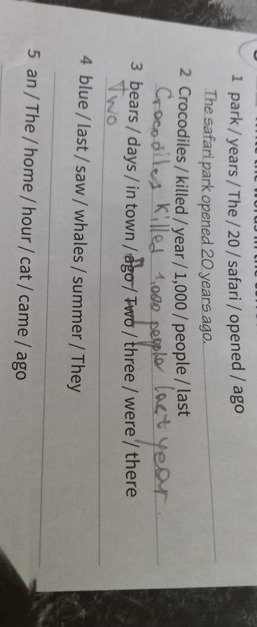 Write the words in the correct order to make sentences